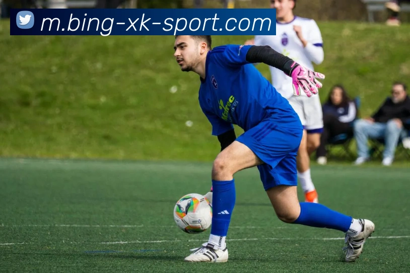 星空体育平台生态图